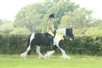 SBM_68987