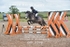 BPP_8378