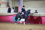 Class T - Working Veteran Champ portfolio
