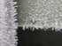 P2160219
