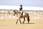 SBM_002717