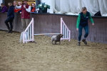 SBM_006238