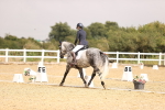 SBM_004528