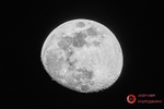 190515-untitled-8E0A2450