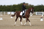 SBM_022081
