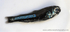 IDD013: Lanternfish