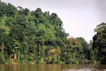 Costa Rica portfolio