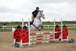 Class 2 - Senior British Novice - 90cm portfolio
