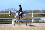 Class 5: Novice 2 2024 Section A portfolio