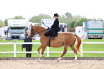 SBM_03331