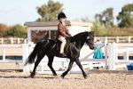 SBM_12463