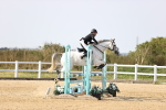SBM_03326