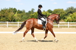 0B8A9670