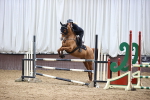 SBM_8788