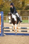 Unaffiliated Show Jumping portfolio