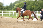 SBM_001482