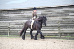 SBM_007337
