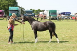 SBM_02422