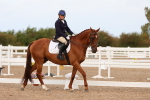 SBM_02634