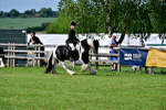 SBM_09345