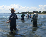 Waitahanui Rip Fishermen.