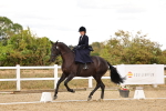 SBM_004622
