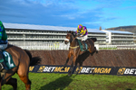 141224-Race 4-Le Patron-1848