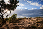 Pego Dunes