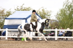 SBM_01458