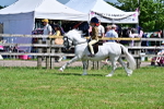 SBM_06085