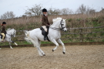 SBM_006355