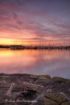 The Dawns Hidden Beauty