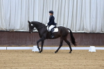 SBM_000012