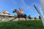 300926-Race 7-Prince Of Calypso-7885