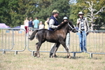 WJ6_4453