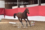 BPP_1475
