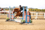 SBM_007156