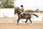 SBM_01535