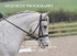BPP_9677