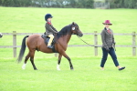 SBM_42425