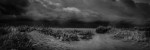 Stormfront