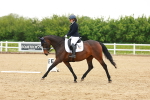 SBM_006016