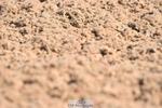 240621A-094818-01275