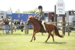 SBM_07720