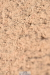 230810A-090436-00010