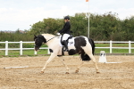 SBM_003537