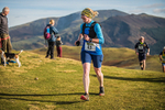 Sale Fell-493