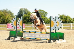 SBM_005454