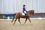 SBM_003246