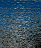 Glacier Bay